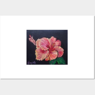 Pretty Orange Hibiscus Posters and Art